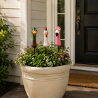 🌿 Funny Peeking Bird Garden Stakes – 3-Piece Whimsical Yard Decor