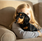 🐶 The mediaandart – Emotional Healing on Demand